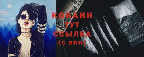 индика Баксан