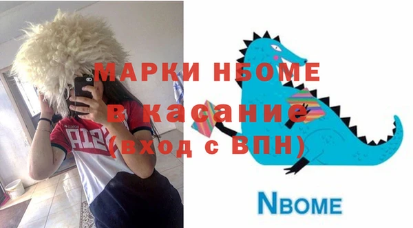 индика Баксан