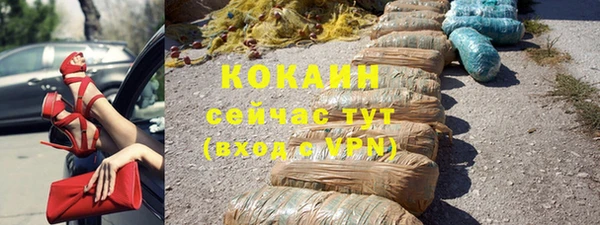 индика Баксан