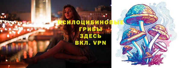 экстази Арсеньев