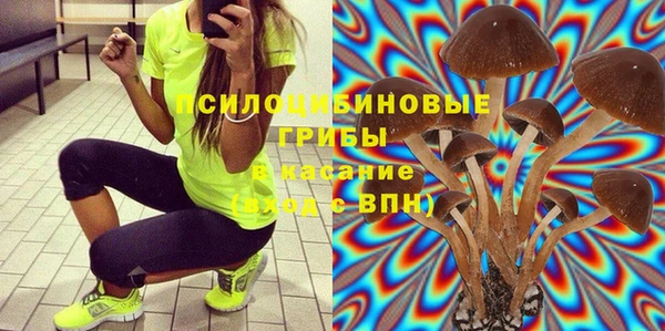 гидропоника Нея
