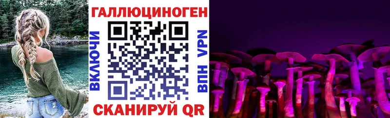 МЕГА онион  Белая Калитва  Галлюциногенные грибы Cubensis  что такое  